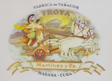 Troya Logo